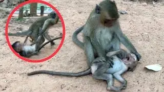 OMG, Crazy Kari make so bad on poor baby Lori, Kari fight to drag on Lori so nasty, very pity.