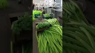 Automatic Twisted Wire Hub Brush Making Machine