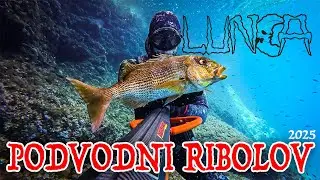 Prva sezona pod vodo! l 2025 l PODVODNI RIBOLOV