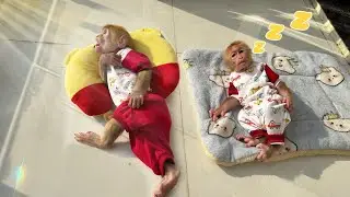 Не могу перестать смеяться! Лаки и Санни загорают в 15:00.