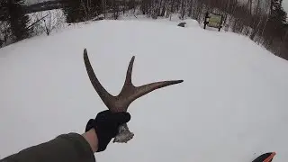 March 15th, 2020 Gunflint Trail Conditions Update (and a moose shed)