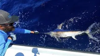Afternoon Swordfishing Mission CCC | Canceled Charter
