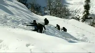 Langera survival