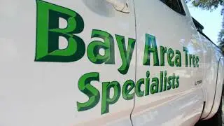 Commercial Tree Service San Jose CA | Bay Area Tree Specialists