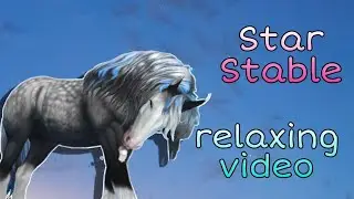 Star Stable/relaxing video/стар стейбл/видео для релакса/Wildwood/Диколесье