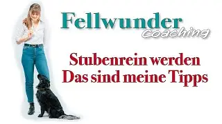 Stubenreinheit beim Hund - das sind meine Tipps // Fellwunder Coaching 🐕