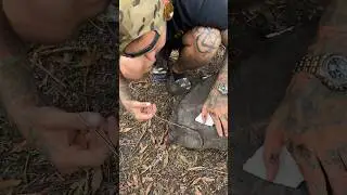 Removing TICKS off my TORTOISE 😤 #reptile #tortoise #wildlife #animals #shorts