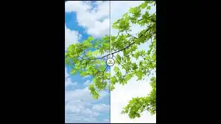 Delete and Change Complex Sky Background - #shorts Photoshop Tutorial