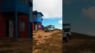 Beauty of Singalila - Musical #viral #travel #trip #tourism #sandakphu #viralshort #viralvideo #reel