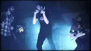 Fishartcollection - Swan Song (Music Video)
