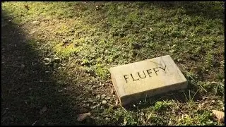 First Pet Cemetery in Atlanta, Georgia