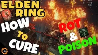 Elden Ring HOW TO CURE SCARLET ROT & POISON GUIDE