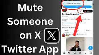 How to Mute Someone on X Twitter app