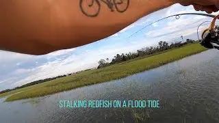 Charleston Flood Tide Fishing for Redfish -- Redemption Night for ME!