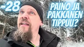 Paino ja pakkanen tippuu? | Joulukuusi viihtyy hyvin!