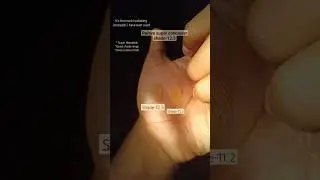 Relove super concealer swatches | revolution concealer 12.5 | makeup revolution #shortsfeed #shorts