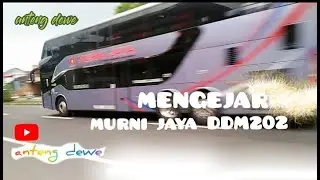 Murni jaya bus tronton kehujanan #busmania #bustingkat #bustronton