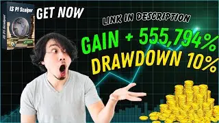 IS Best Gold EA Performance | Safe XAUUSD Forex EA