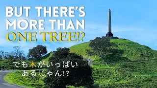 How many trees are there? One Tree Hill and Cornwall Park
