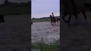 Met alleen neckrope rijden op firenze