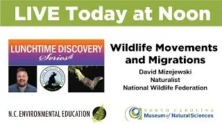 Lunchtime Discovery: Wildlife Movements and Migrations with David Mizejewski