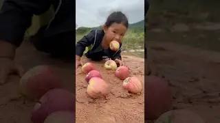 Survival Skills: Single mom with a lot of apple fruit in forest #survival #camping #bushcraft