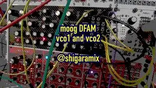 moog DFAM vco play