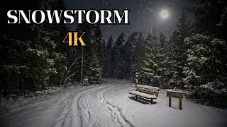Прогулка в метель в Райсио, Финляндия 🌨️ Ветреная зимняя атмосфера ASMR 4K