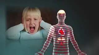 Toxic Stress Derails Healthy Development (Icelandic)