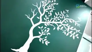 Sustainable Investment in South Africa | Morita Forestry's New Carbon Sequestration HQ
