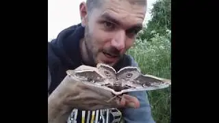 Minute environnement &eacute;pisode 2