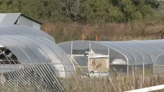 Two arrests in Garvin County marijuana grow bust