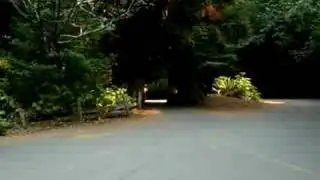 Tour Thru Tree