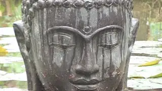 Un jour de pluie au jardin botanique
