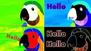 THE ANIMALS SOUNDS EFFECTS [PARROT] (SPONSORED BY GAMAVISION CSUPO EFFECTS)