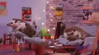 Announcing The 2018 Tiny Desk Contest: Meet Edgeh&ouml;g