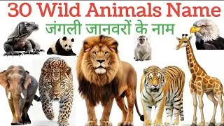 30 Animals Name | Names of wild animals Wild Animals Name | 30 Animals Name in English and Hindi ...