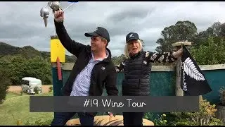 Self-guided Waiheke Island Wine Tours
