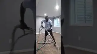 Move in and Move out carpet cleaning