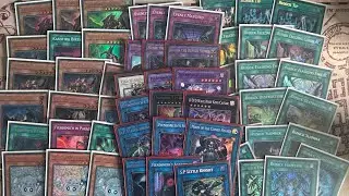 A German’s Dream: Joshua Fiendschmidt in Paradise. Runick Kashtira Fiendsmith Deck List. 