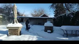 SnoBlo by the pool with a SnoJoe