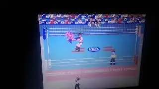 Pro Wrestling NES: Game Over