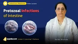 Protozoal Infections of Intestine | Clinical Medicine Video | V-Learning | sqadia.com