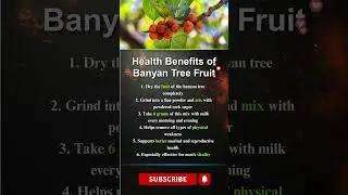 Health Benefits of Banyan Tree Fruit #unitedstate #usa #ytshorts #usashorts #shortsfeed
