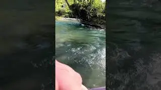 Big Hook up in a super clear River   #fishing