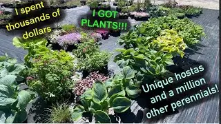 I Spent Thousands on Unique Plants! Get Them before they&rsquo;re gone!