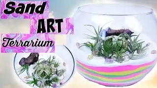DIY Sand Art Terrarium | Air Plant Room Decor