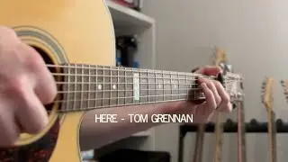 Here   Tom Grennan Finger style