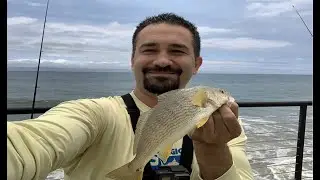 Catch and Cook Yellowfin Croaker... it's Delicious!! (Dons Adventures)