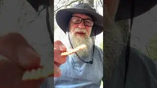 Old Dutch extra Ketchup Ridges potato chips review